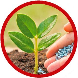 Fertilizantes y enmiendas