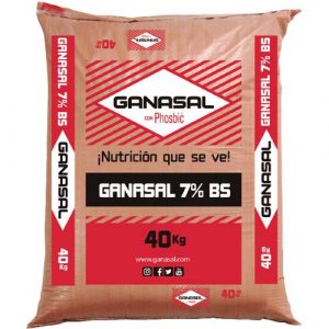 SALES-GANASALA-7%-BS