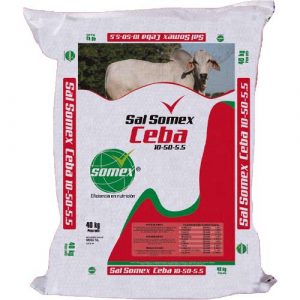 SAL SOMEX CEBA 10-50.5.5 X 10 KL MOCHILA