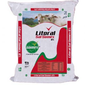 LITORAL SAL SOMEX 6% X 50 KILOS